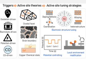 用于电催化CO2还原的铜基催化剂动态演化过程中的活性位点识别和工程设计