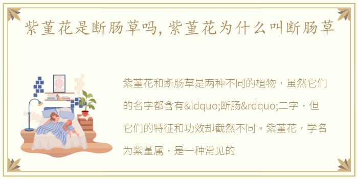 紫堇花是断肠草吗,紫堇花为什么叫断肠草