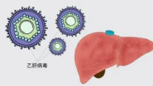 乙肝病毒携带者症状