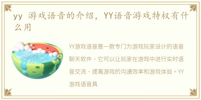 yy 游戏语音的介绍，YY语音游戏特权有什么用