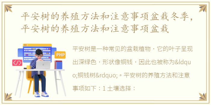 平安树的养殖方法和注意事项盆栽冬季，平安树的养殖方法和注意事项盆栽