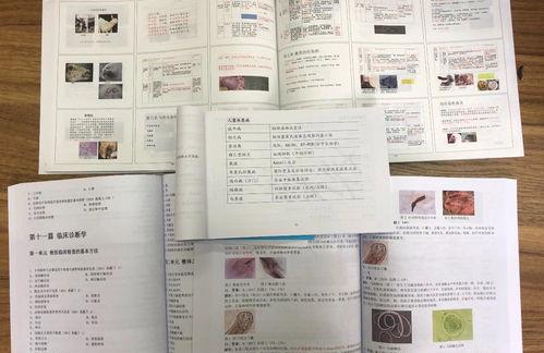 兽医资格证的考试科目都有什么？ 兽医资格证考试科目