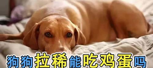 孕妇拉肚子可以吃煮鸡蛋吗？ 拉肚子能吃鸡蛋吗