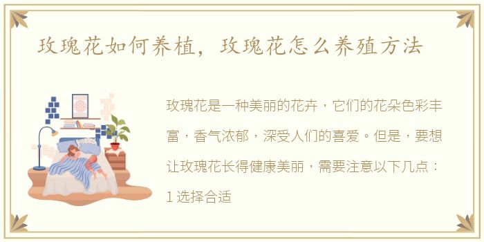 玫瑰花如何养植，玫瑰花怎么养殖方法