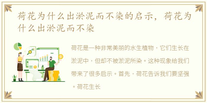 荷花为什么出淤泥而不染的启示，荷花为什么出淤泥而不染