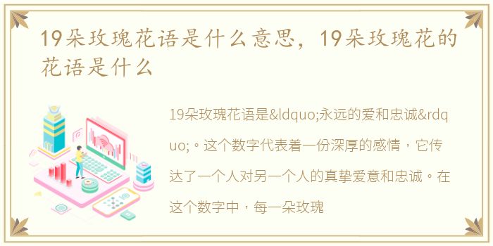 19朵玫瑰花语是什么意思，19朵玫瑰花的花语是什么