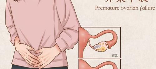 40岁卵巢功能衰退还能恢复吗 四十岁卵巢早衰能调整回来吗