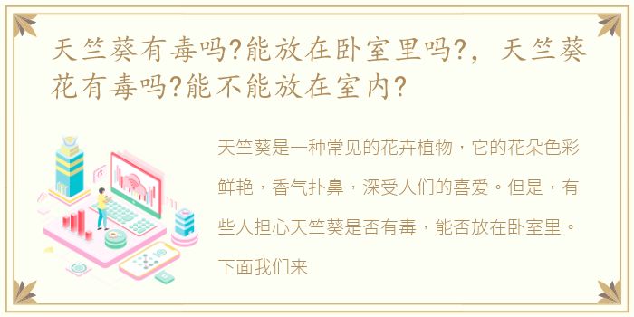 天竺葵有毒吗?能放在卧室里吗?，天竺葵花有毒吗?能不能放在室内?