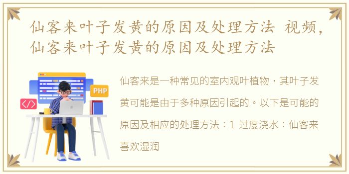 仙客来叶子发黄的原因及处理方法 视频，仙客来叶子发黄的原因及处理方法