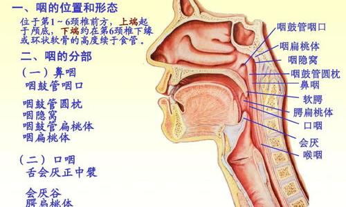 喉炎应该怎么治疗？ 咽喉炎怎么治疗