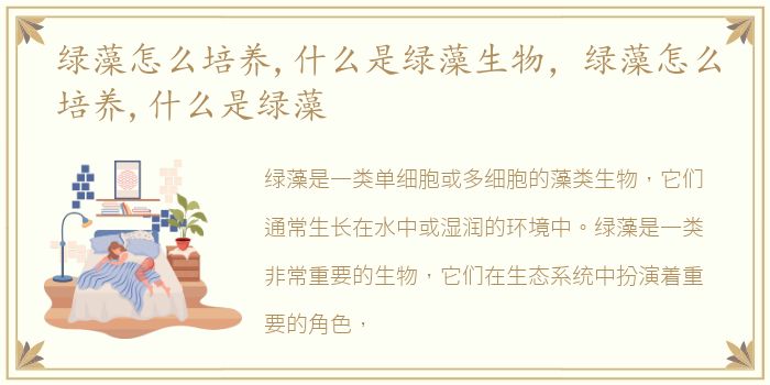 绿藻怎么培养,什么是绿藻生物，绿藻怎么培养,什么是绿藻