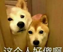 lol柴犬头像怎么获得？ 沙雕狗头像柴犬