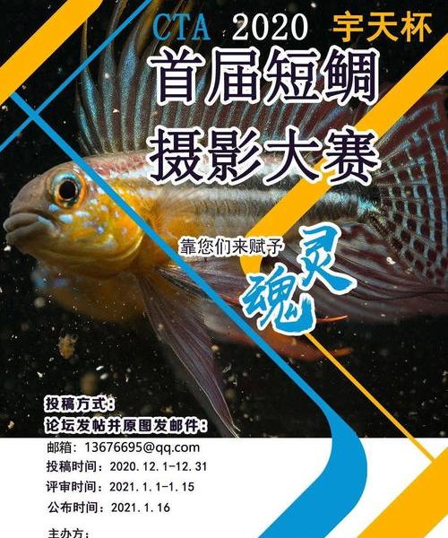 有没有什么好一点的水族论坛？南美水族论坛一边躺着去。 南美水族论坛怎么升级