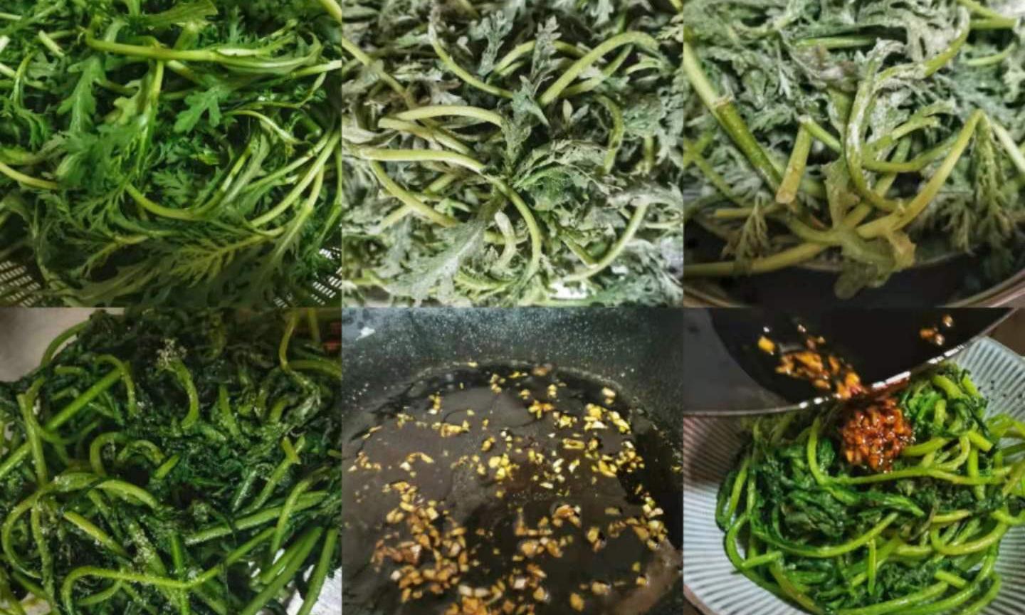 茼蒿杆的8种最佳吃法？ 茼蒿怎么吃的做法大全