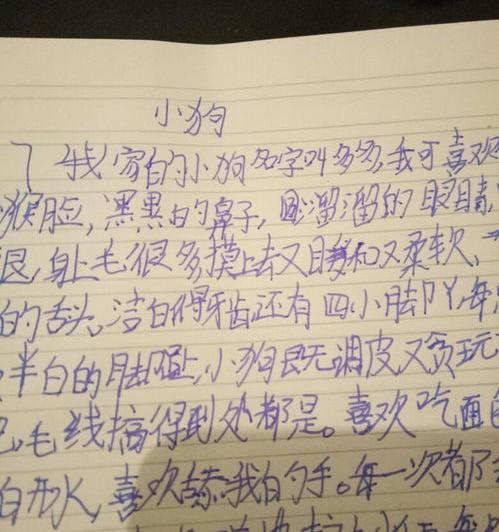 我家的小狗300字作文 我的小狗300字作文大全