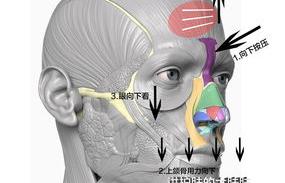 额头上有皱纹怎么去掉，什么方法可以去掉额头皱纹？ 额头上有皱纹怎么办