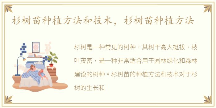 杉树苗种植方法和技术，杉树苗种植方法