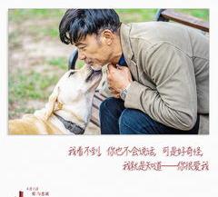 金毛怎样训练成导盲犬？ 怎样训练导盲犬