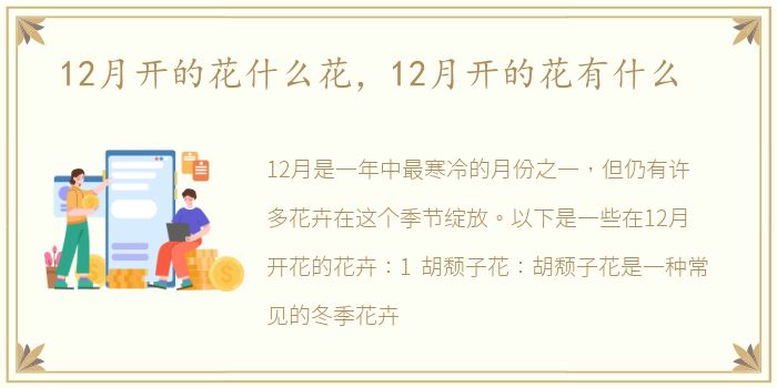 12月开的花什么花，12月开的花有什么