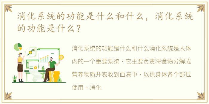 消化系统的功能是什么和什么，消化系统的功能是什么？