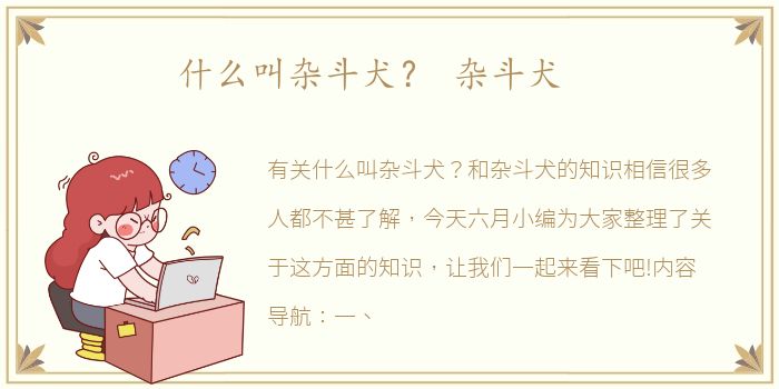 什么叫杂斗犬？ 杂斗犬