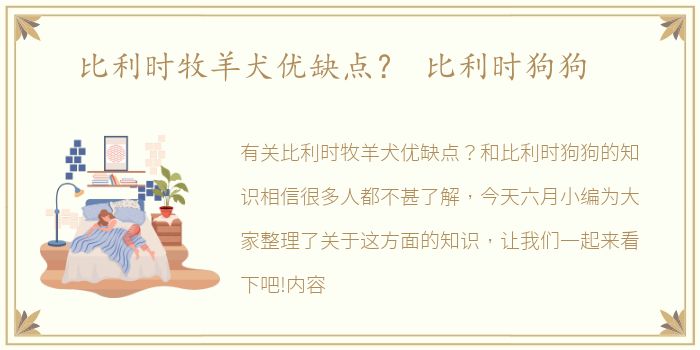 比利时牧羊犬优缺点？ 比利时狗狗