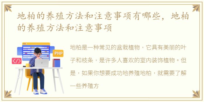 地柏的养殖方法和注意事项有哪些，地柏的养殖方法和注意事项