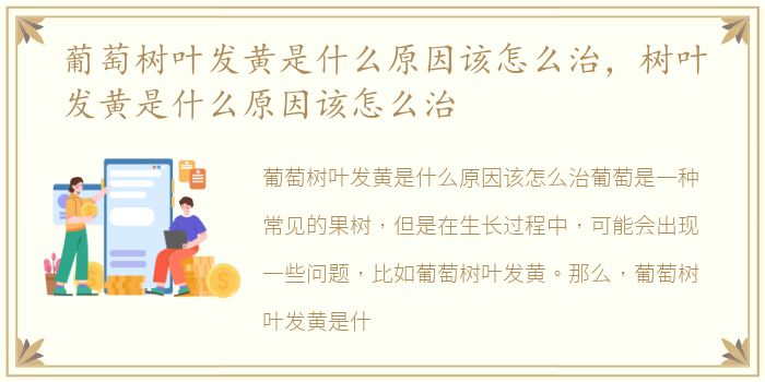 葡萄树叶发黄是什么原因该怎么治，树叶发黄是什么原因该怎么治