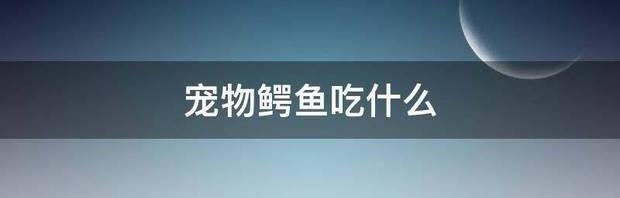 鳄鱼吃什么饲料？ 宠物鳄鱼吃什么