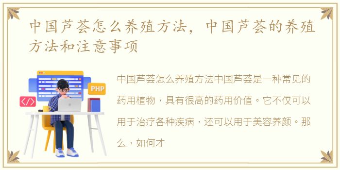 中国芦荟怎么养殖方法，中国芦荟的养殖方法和注意事项