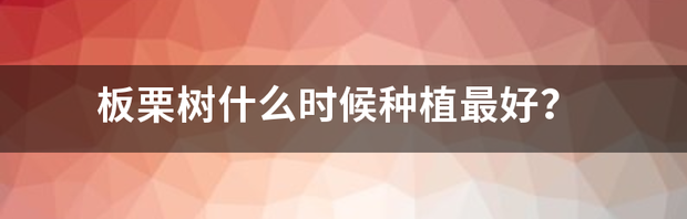 怎么识别板栗树？ 板栗树