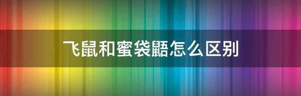 蜜袋鼯和飞鼠的外貌区别？ 蜜袋鼯和飞鼠的区别