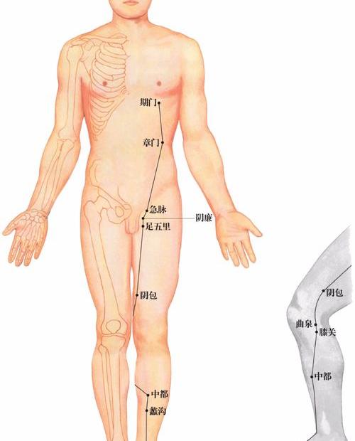 太冲准确位置图分左右脚吗? 肝经的准确位置图