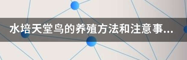 天堂鸟的养殖方法和注意事项？ 天堂鸟的养殖方法和注意事项