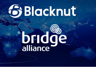 Bridge Alliance和Blacknut加强亚太地区的云游戏