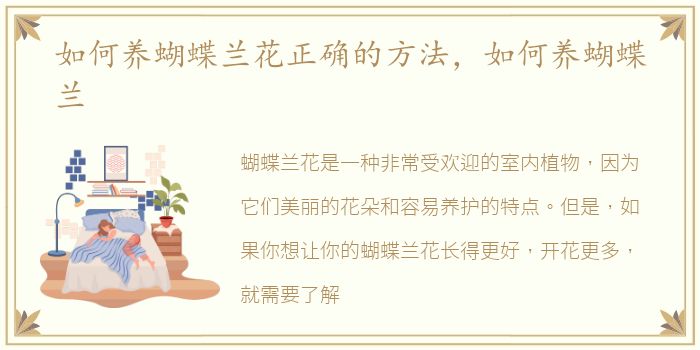 如何养蝴蝶兰花正确的方法，如何养蝴蝶兰