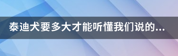 泰迪几个月会听懂人话？ 泰迪几个月会听懂人话