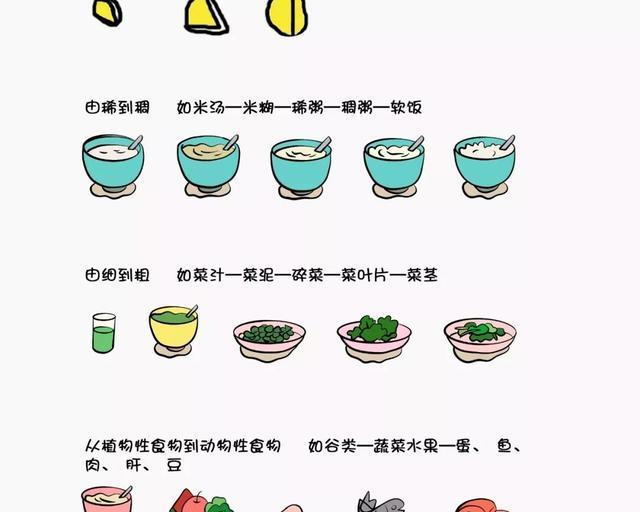 婴儿辅食添加顺序是什么？ 辅食添加顺序时间表