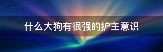 什么狗最护主？ 什么狗护主意识最强