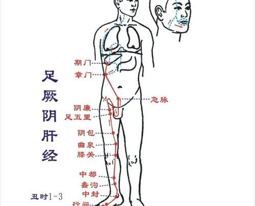 五个动作锻炼肝经，疏肝理气，滋养肝血，值得坚持 疏肝理气最快的好方法