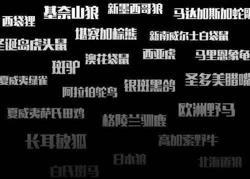 巴拉虎的特征？ 巴厘虎