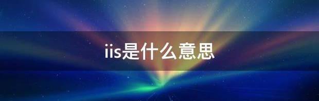 iis中文是什么意思？ iis是什么意思