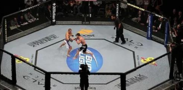 ufc后面的三位数字是什么意思 ufc242