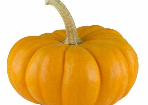 pumpkin怎么读英语 pumpkin