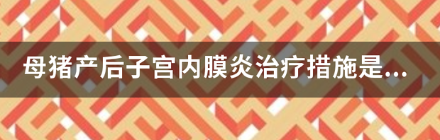 怎么治疗子宫内膜炎才能好得最快？ 子宫内膜炎怎么治疗