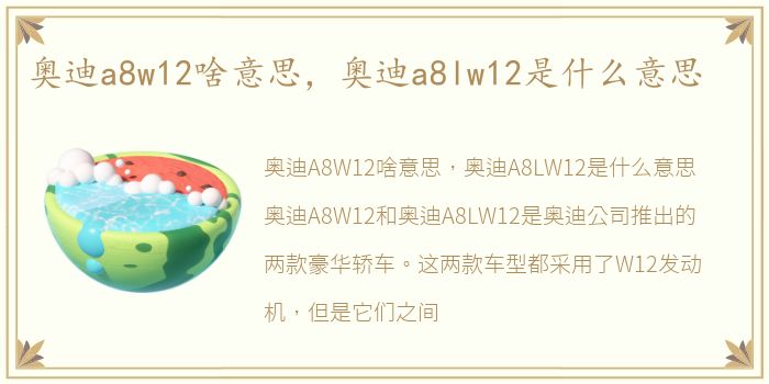 奥迪a8w12啥意思，奥迪a8lw12是什么意思