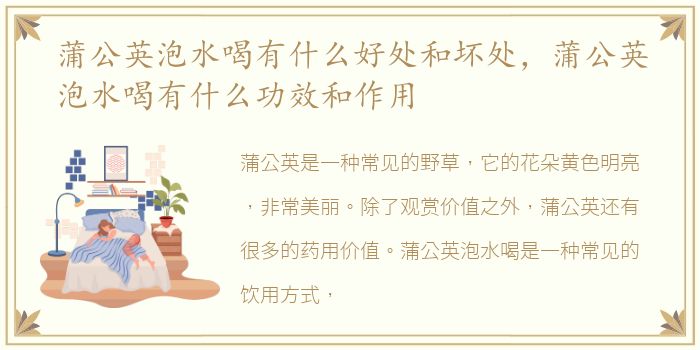 蒲公英泡水喝有什么好处和坏处，蒲公英泡水喝有什么功效和作用