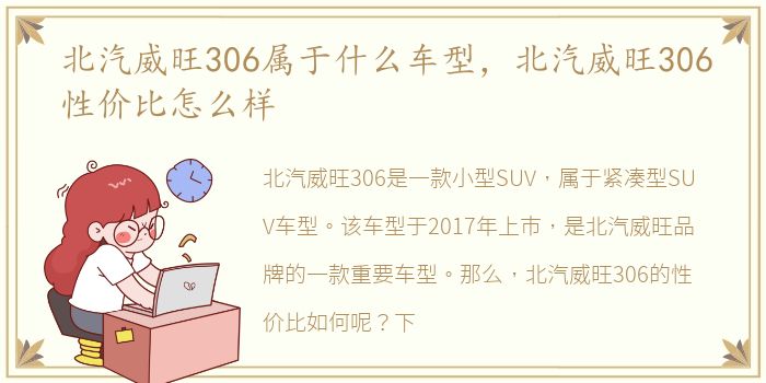 北汽威旺306属于什么车型，北汽威旺306性价比怎么样