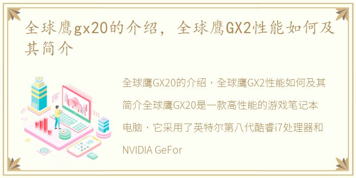 全球鹰gx20的介绍，全球鹰GX2性能如何及其简介