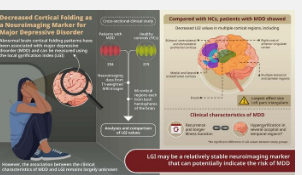 高丽大学医学研究强调了重度抑郁症的新生物标志物